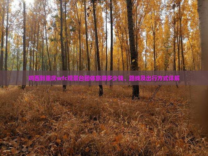 鸡西到重庆wfc观景台团体旅游
