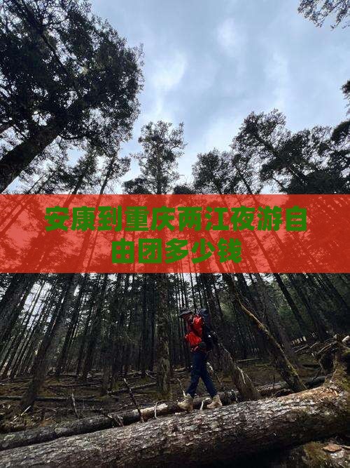 安康到重庆两江夜游自由团