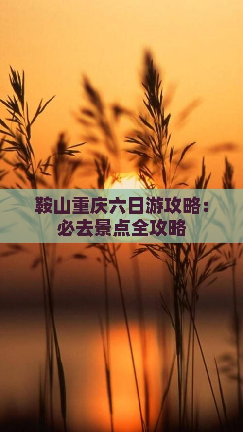 鞍山到重庆六日游