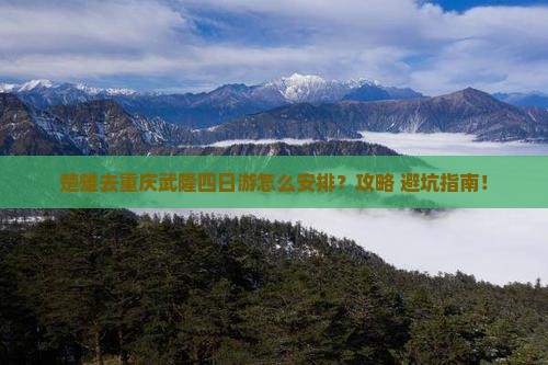 楚雄去重庆武隆四日游