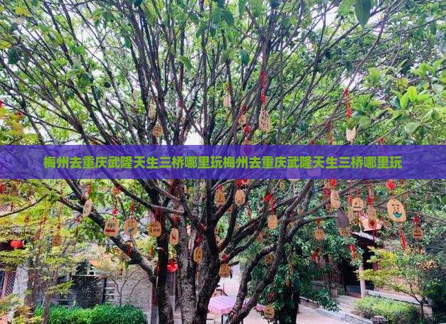 梅州去重庆武隆天生三桥哪里玩