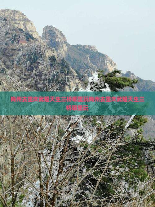 梅州去重庆武隆天生三桥哪里玩