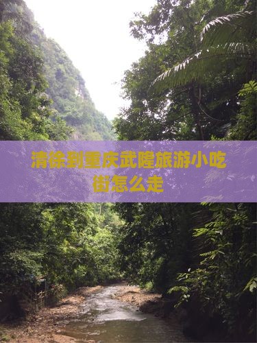 清徐到重庆武隆旅游小吃