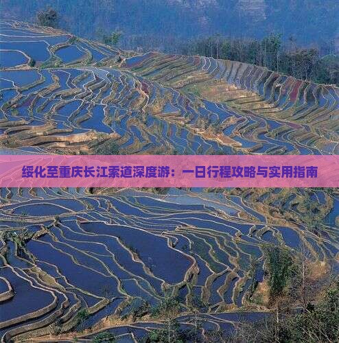 绥化至重庆长江索道深度游：一日行程攻略与实用指南