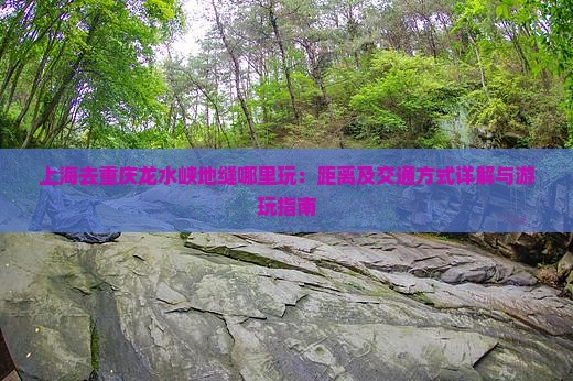 上海去重庆龙水峡地缝哪里玩：距离及交通方式详解与游玩指南