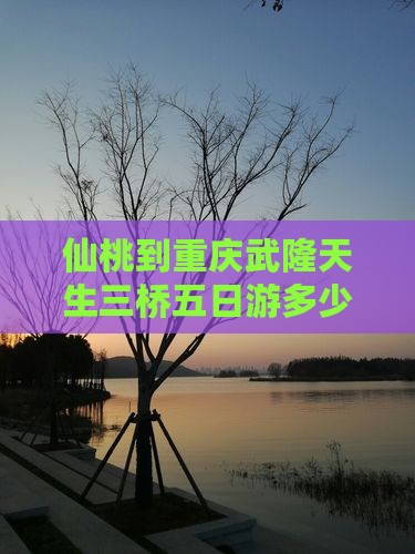 仙桃到重庆武隆天生三桥五日游多少公里