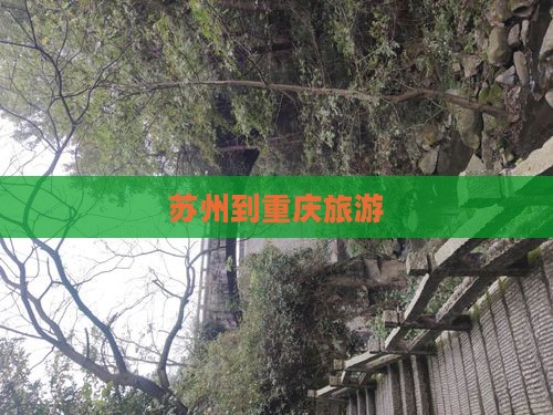 苏州到重庆旅游