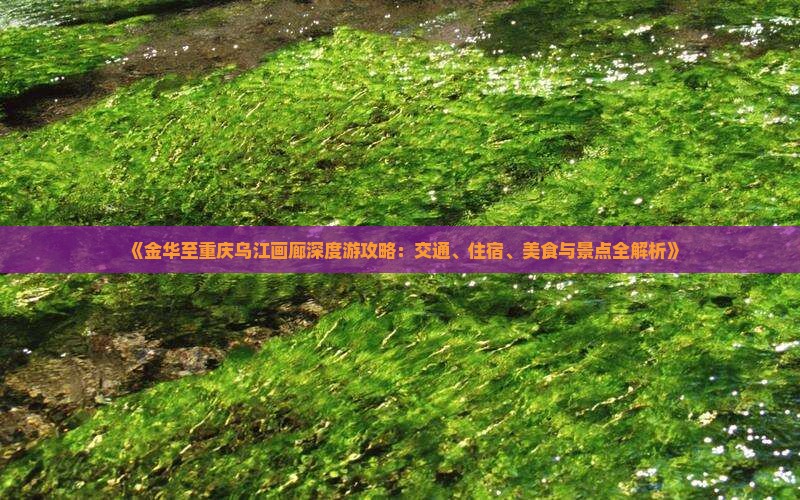 《金华至重庆乌江画廊深度游攻略：交通、住宿、美食与景点全解析》
