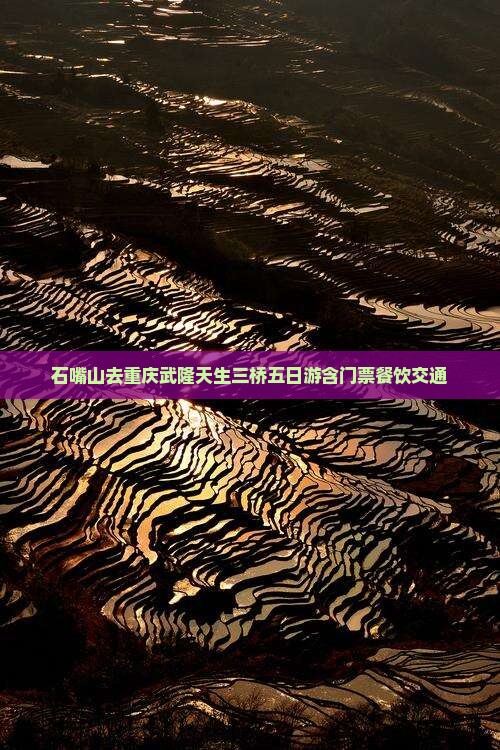 石嘴山去重庆武隆天生三桥五日游含门票餐饮交通