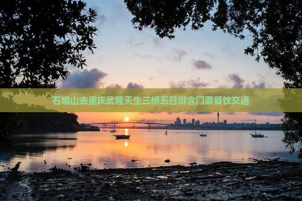 石嘴山去重庆武隆天生三桥五日游含门票餐饮交通