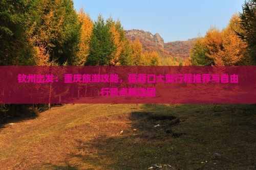 钦州出发：重庆旅游攻略，磁器口大型行程推荐与自由行景点精选团