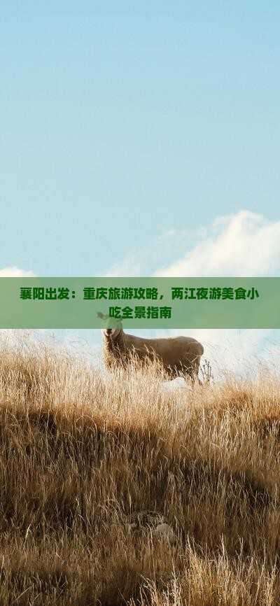 襄阳出发：重庆旅游攻略，两江夜游美食小吃全景指南