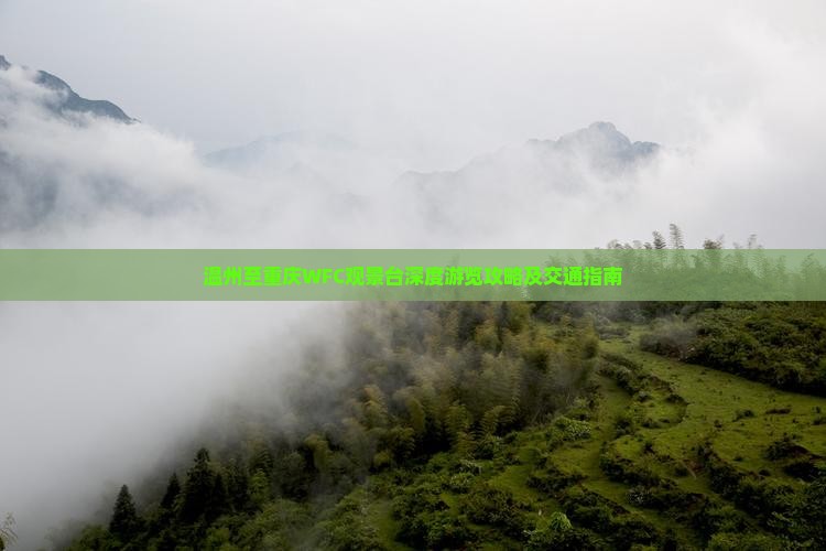 温州至重庆WFC观景台深度游览攻略及交通指南