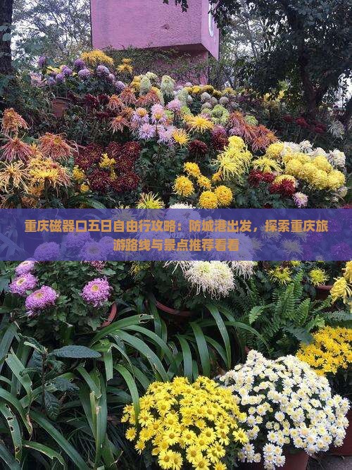 重庆磁器口五日自由行攻略：防城港出发，探索重庆旅游路线与景点推荐看看