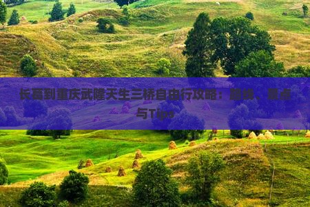 长葛到重庆武隆天生三桥自由行攻略：路线、景点与Tips