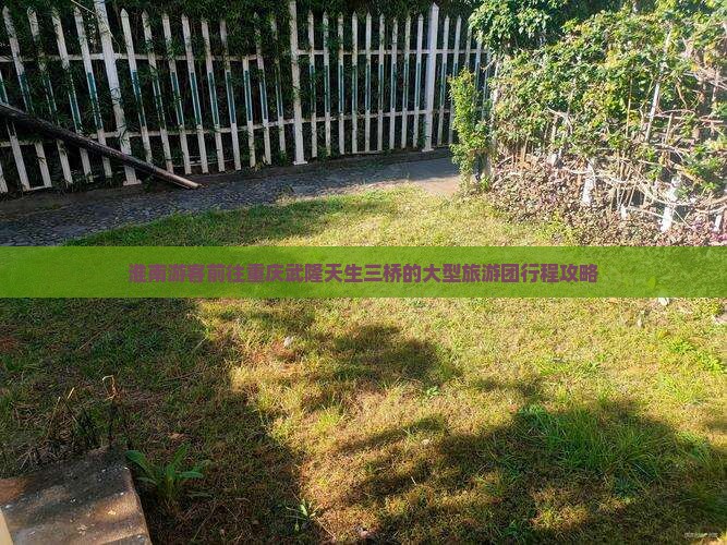 淮南游客前往重庆武隆天生三桥的大型旅游团行程攻略