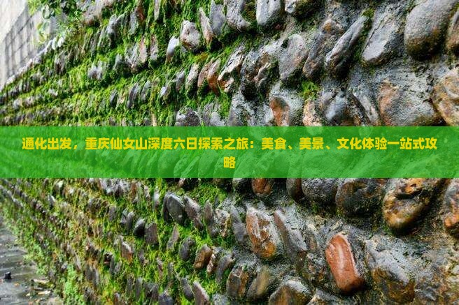 通化出发，重庆仙女山深度六日探索之旅：美食、美景、文化体验一站式攻略