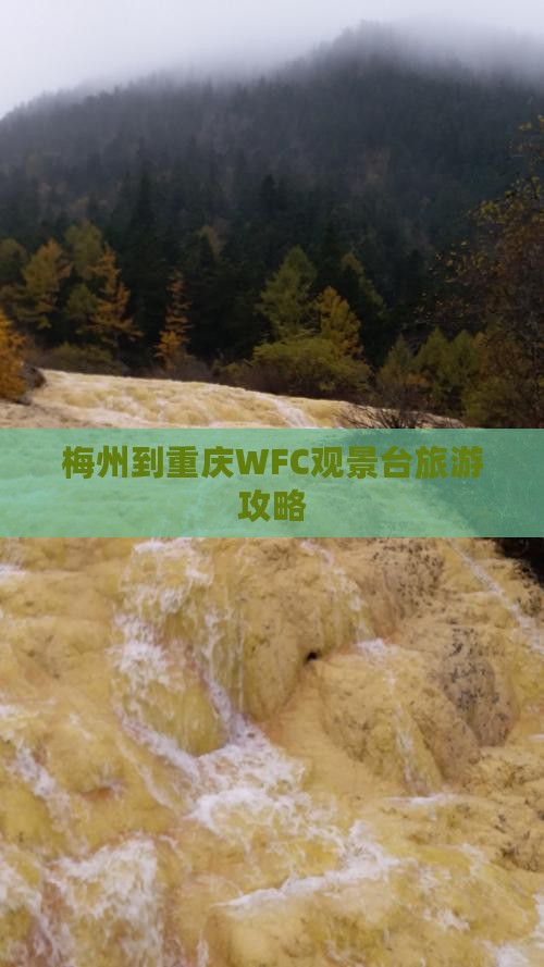 梅州到重庆WFC观景台旅游攻略