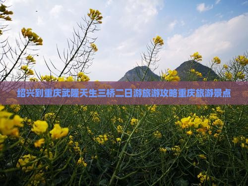 绍兴到重庆武隆天生三桥二日游旅游攻略重庆旅游景点