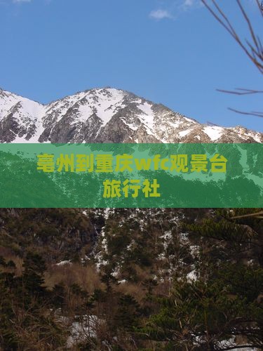 亳州到重庆wfc观景台旅行社