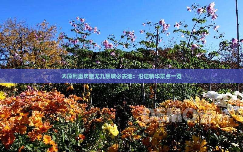 太原到重庆蚩尤九黎城必去地：沿途精华景点一览