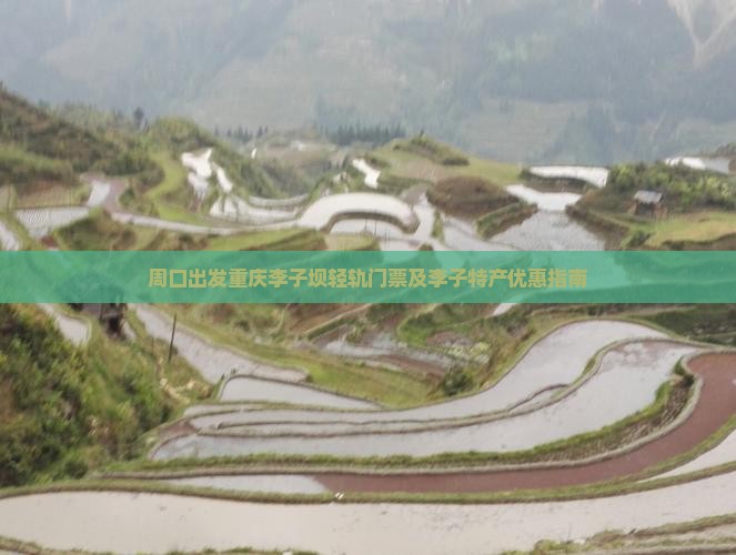 周口出发重庆李子坝轻轨门票及李子特产优惠指南
