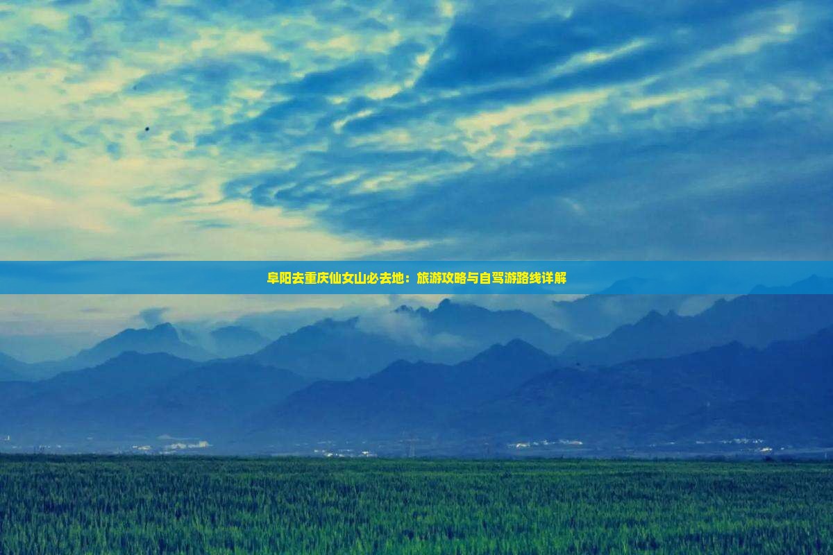阜阳去重庆仙女山必去地：旅游攻略与自驾游路线详解