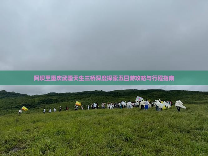 阿坝至重庆武隆天生三桥深度探索五日游攻略与行程指南