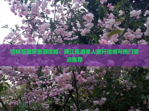 吉林至重庆旅游攻略：两江夜游单人旅行指南与热门景点推荐
