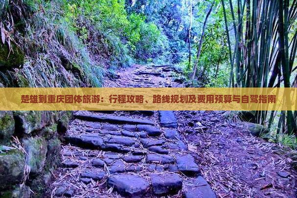 楚雄到重庆团体旅游：行程攻略、路线规划及费用预算与自驾指南