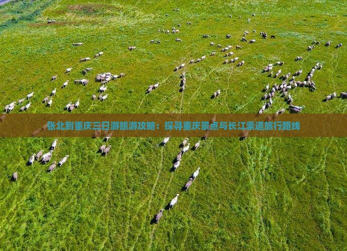 张北到重庆三日游旅游攻略：探寻重庆景点与长江索道旅行路线