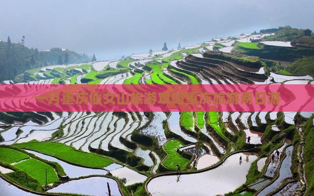 一月重庆仙女山旅游攻略重庆旅游两日游