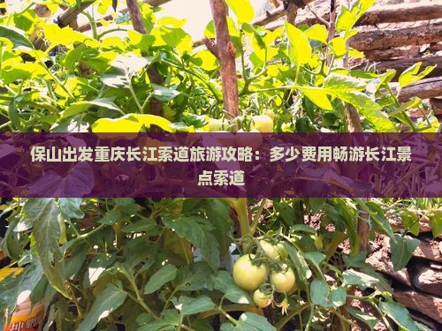 保山出发重庆长江索道旅游攻略：多少费用畅游长江景点索道