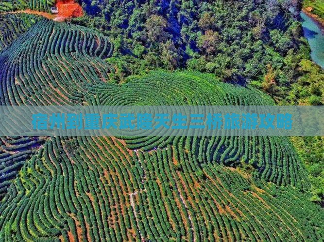 宿州到重庆武隆天生三桥旅游攻略