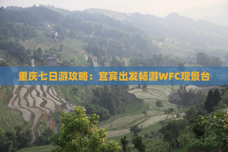 重庆七日游攻略：宜宾出发畅游WFC观景台