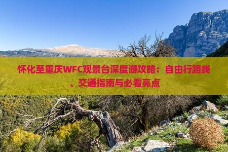 怀化至重庆WFC观景台深度游攻略：自由行路线、交通指南与必看亮点
