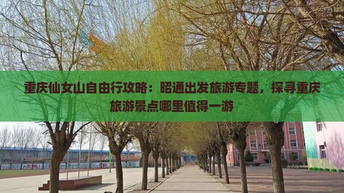 重庆仙女山自由行攻略：昭通出发旅游专题，探寻重庆旅游景点哪里值得一游