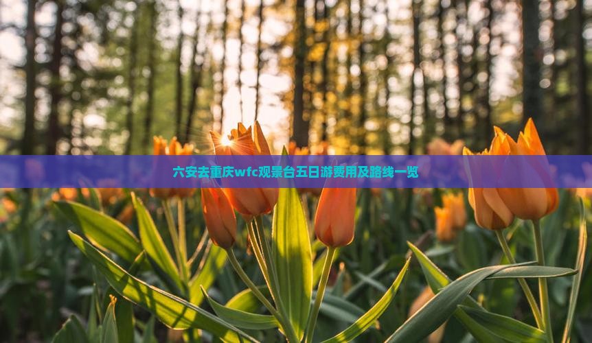 六安去重庆wfc观景台五日游费用及路线一览
