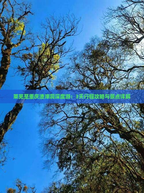 莱芜至重庆渣滓洞深度游：3天行程攻略与景点详解