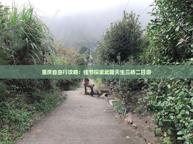 重庆自由行攻略：佳节探索武隆天生三桥二日游