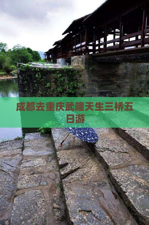 成都去重庆武隆天生三桥五日游