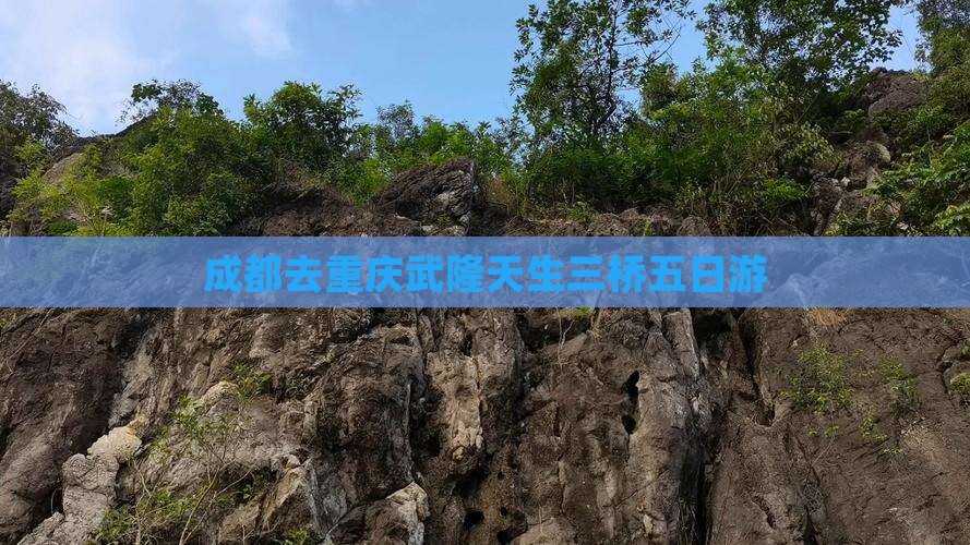 成都去重庆武隆天生三桥五日游