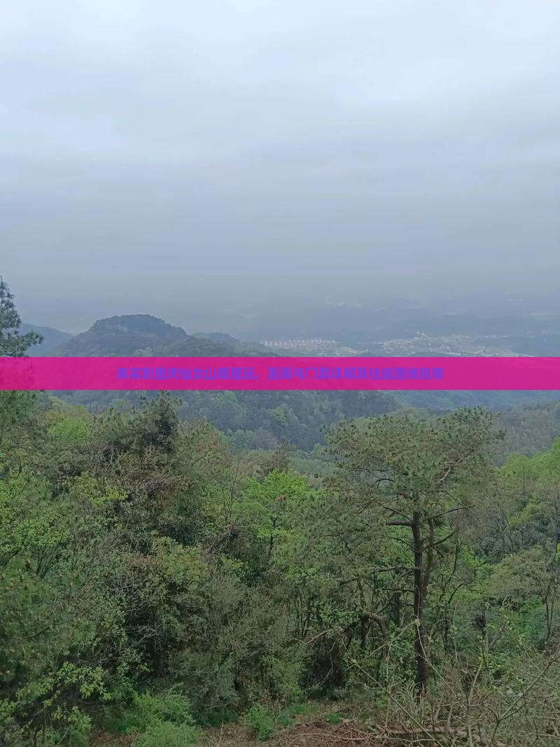来宾到重庆仙女山哪里玩，距离与门票详解及往返路线指南