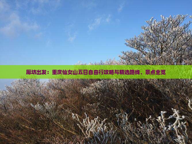 廊坊出发：重庆仙女山五日自由行攻略与精选路线、景点全览