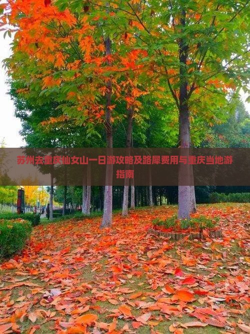 苏州去重庆仙女山一日游攻略及路犀费用与重庆当地游指南