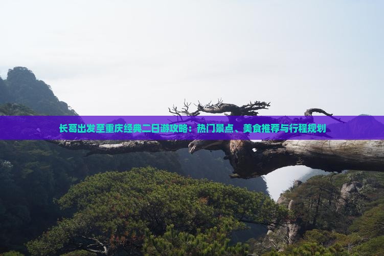 长葛出发至重庆经典二日游攻略：热门景点、美食推荐与行程规划