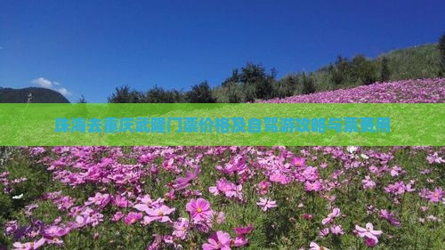 珠海去重庆武隆门票价格及自驾游攻略与票费用