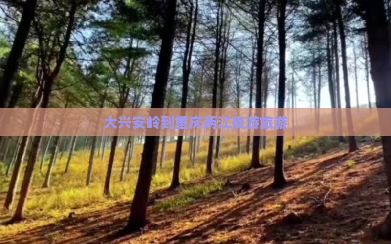 大兴安岭到重庆两江夜游旅游