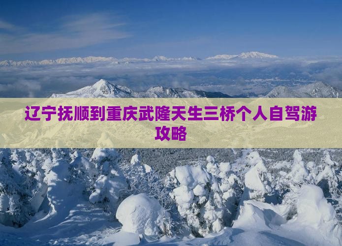 辽宁抚顺到重庆武隆天生三桥个人自驾游攻略