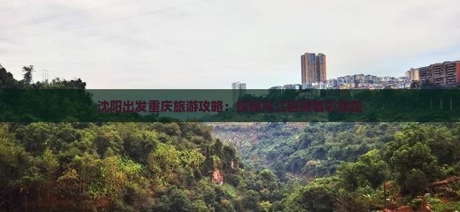 沈阳出发重庆旅游攻略：探秘乌江画廊精彩旅程